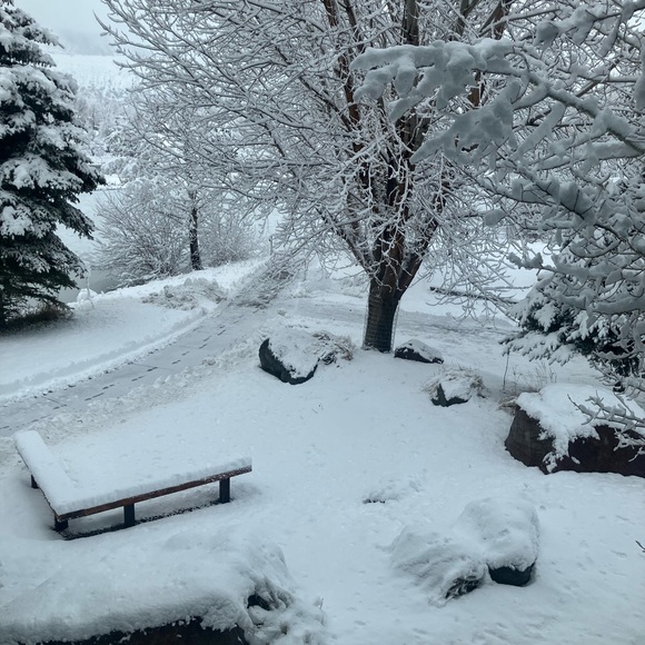 Meet your Posher, Kelly - Picture 1 of 1